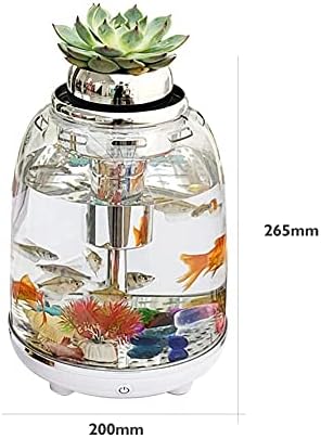 WJCCY Aquarium Fish Tank 5.5L com filtro de energia iluminação colorida transparente para LED para o escritório em casa Decoração