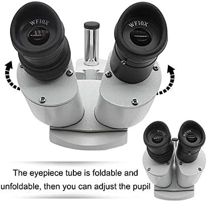 DZXCHM 10X-20X-30X-40X Microscópio estéreo binocular Binocular Microscópio industrial iluminado com ocular para reparo de relógio