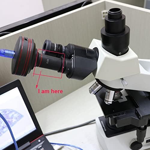 Acessórios para microscópio 0,3x 0,4x 0,5x 1x Lens de câmera Industrial Câmera Industrial Conecte Microscope Lab