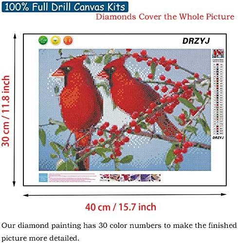 Kits de pintura de diamante drzyj para adultos, broca completa redondo pássaros cardeais 5d kit de pintura de diamante Crystal