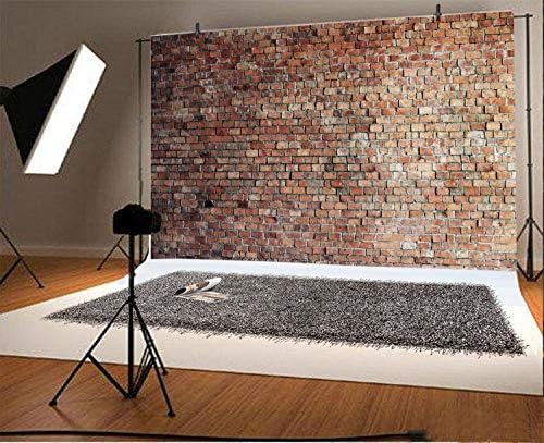 LFEEY 8X6FT VINTAGE VINTAGE RED BRICK POTAÇÃO PENOS RECONSTRANTES MENINAS MENINAS ADULTOS RETRATO FOIL POMPENHO DOMPENCIO