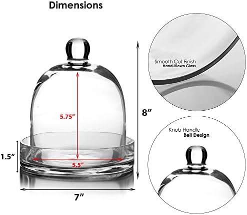 Cys Excel Bell Dome Cloche com base de vidro | Escolhas de tamanho múltiplo Terrarium jar tampa da planta | Exibição de sobremesa