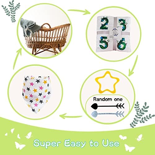 QiCaiyun bebê marco mensal cobertor, lua e manta de mês de estrela do bebê para o primeiro ano, Circle Ring Baby Calendário Gráfico, 60''x40 '' yunbtyc007