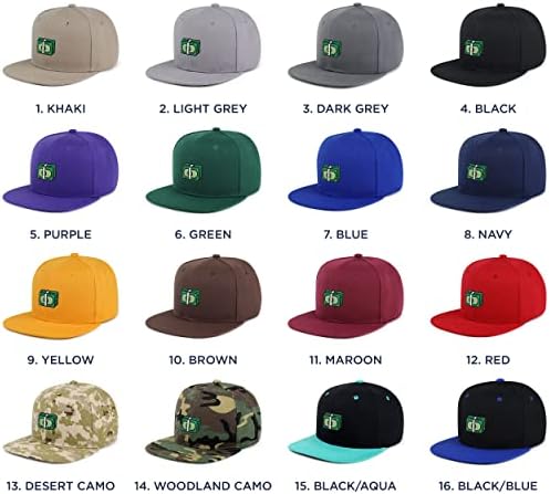 JPAK Money Hip-Hop Snapback Hat Hat Basebed Baseball Cap Bill Dollar