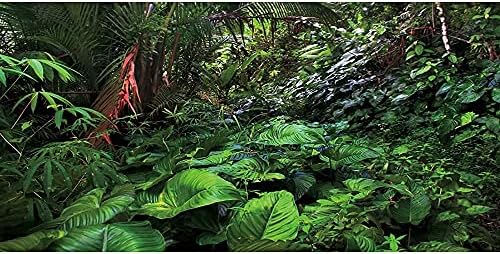 Aumentar o fundo do terrário da floresta tropical de fundo de aquário florestal profundo plantas tropicais Habitat Background 24x12