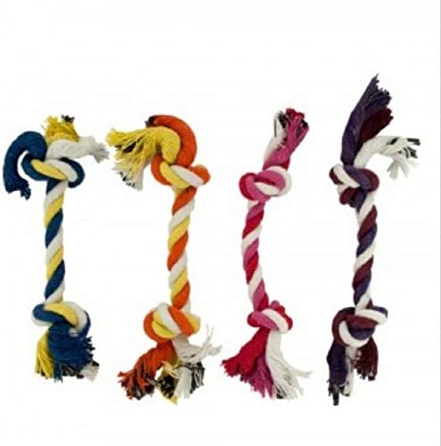 Conjunto de brinquedos de cachorro de corda multicolorido dukes