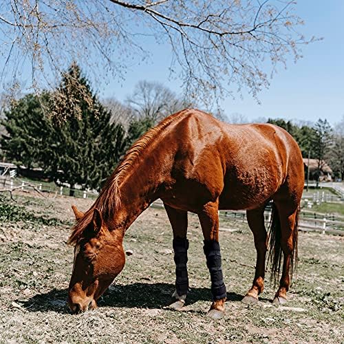 World-Bio Horse Ice Perguas de gelo conjunto de 2, embrulho de resfriamento de pacote de gelo para lesões por cavalo,