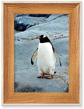 McJs Antártico Pedra Oceano Penguin Nature Science Desktop Wooden Photo Frame Display Picture Art Painting Múltiplos