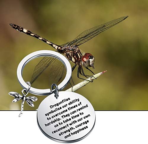 Dragonfly de Dragona Ensiantia Dragonfly Amante Presente Inspiração para Presente de Incentivo de Amigos