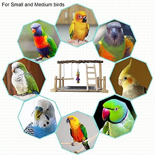 Kathson papagaios de playground bird bird bey ginástica parrot parrot Playstand wooden stand com xícaras de alimentação balanços