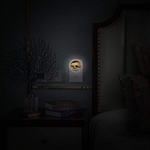 Pequena luz noturna com cascavel de cobra de répteis Danger Night Plug na parede com o pacote de sensores do anoitecer de 4