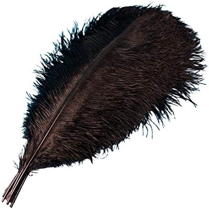 10pcs/lote 15-30cm Feathers naturais de avestruz branca para artesanato Jóias de penas de festa colorida DIY Fazendo decoração de casamento - 20-25cm - Zamihalaa