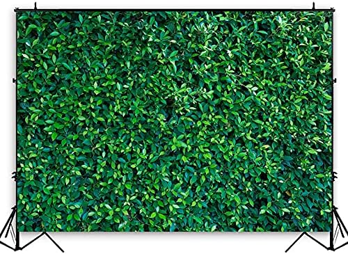 Holiyjog 7x5ft folhas verdes Fotografia cenários de microfibra Nature Bordaldrop Borniond Bordal para festa de aniversário FOTO POOTH POOTH BEMDROP Presente