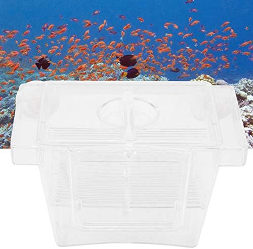 12,5*7*7cm Betta Fish Tank, Caixa de criação de peixes de aquário de acrílico Caixa de isolamento da incubadora de incubador