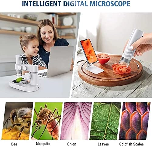 FZZDP 400X Crianças USB Kit de microscópio portátil digital biológico para telefone PC Ciência da escola em casa