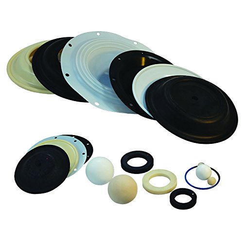 N02-9553-58 P200 Santoprene/Kit de extremidade de fluido plástico substitui Wilden® P/N 02-9553-58