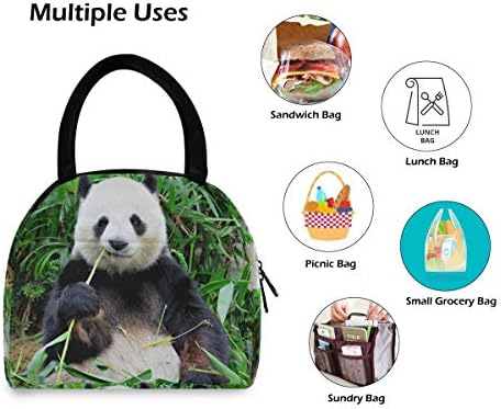Yyzzh gigante panda urso animal comendo bambu floresta selva floresteira zíper isolado lanchone saco de refrigerador