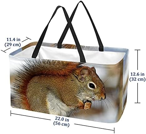 Lorvies Red Squirrel Wildlife Sacos de mercearia reutilizáveis ​​Sacos de compras de armazenamento, caixas de armazenamento