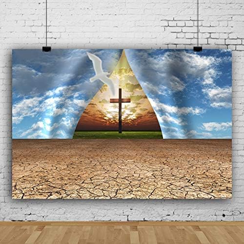 CSFOTO 12X8FT CRUNTO CUSTO DE JESUSTO FOTOGRAFIA BORNE