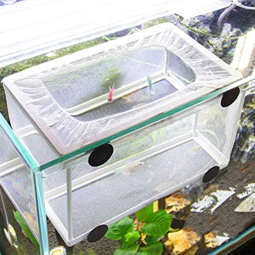 Rede de criador de tanques de peixes PoPetpop: Fish Hatchery Breedarer Box Rede de separação para aquário