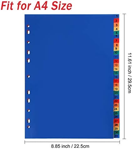Divisores de fichário de plástico A4 de 31 tabs, guias de índice multicolorido, 11-HOLE reforçados se encaixam na maioria das 2/3/4 do fichário, guias numéricas divisórias de fichário, 3 set