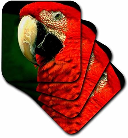 3drose cst_685_4 Macaw de macaw de asas de macaw mapaw montanhas-russas, conjunto de 8