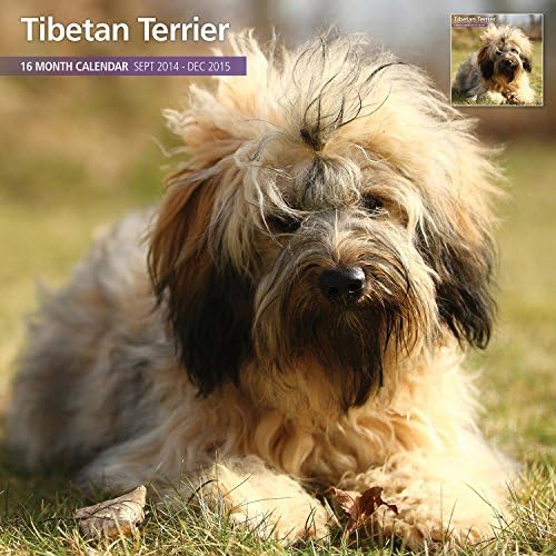 Magnet & Steel Tibetan Terrier 2015 Wall Calendar