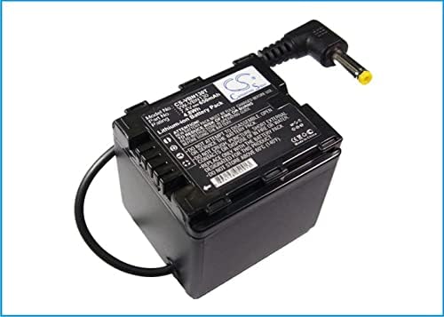 Cameron Sino New 650MahReplacement Battery Fit for Panasonic HDC-HS900, HDC-SD800, HDC-SD900, HDC-TM900 VW-VBN130, VW-VBN130E, VW-VBN130E-K