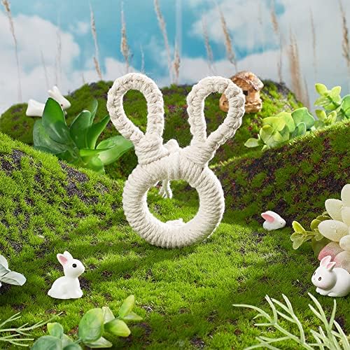 FreeBloss 5 Set Kit Ring Rabbit Ornament Ornament Kit de macramas de Páscoa para iniciantes Ornamento criativo de macram de