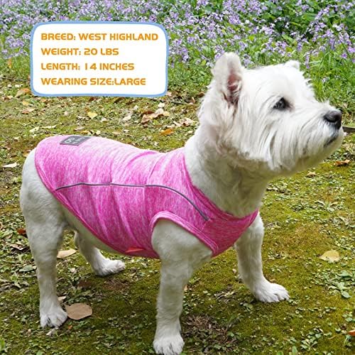 Camisa de cães Kyeese para cães pequenos Rápida de cachorro de cachorro respirável e respirável com tanque de tanque atlético reflexivo