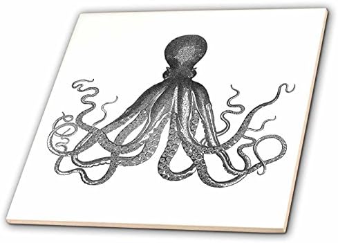 3drose inspirationzstore arte vintage - polvo vintage - lorde preto e branco Bodner Kraken - cthulu - lulas gigantes do mar subaquático náuticas - ladrilhos de cerâmica de 4 polegadas