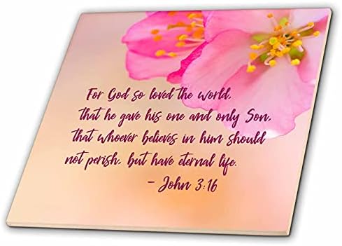Bíblia 3drose - Para Deus amou o mundo, que ele deu o seu primeiro e único filho - azulejos