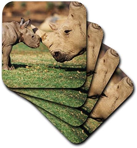 3drose África, rinoceronte branco do sul em cativeiro com jovem. - montanhas -russas suaves, conjunto de 4