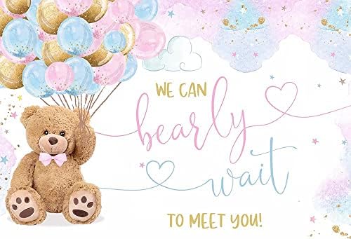 Huayi, podemos esperar para te encontrar no fundo do chá de bebê Teddy urso decoração de fundo pastel marrom e roxo menino neutral