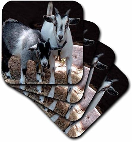 3drose llc pygmy cabra montanha -russa, soft, conjunto de 4