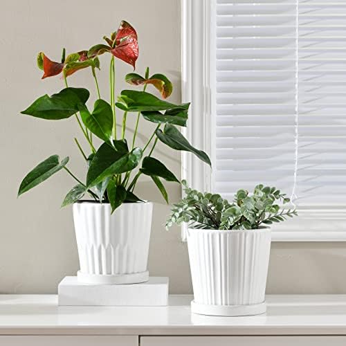Vasos de plantas pecaministas, vasos de flores brancos de 6 polegadas para plantas, plantador de cerâmica com orifícios de drenagem,