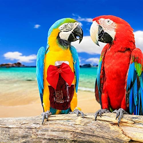 Partro Parrot Filme de fralda voadora Roupas de pássaros Papagaio Tiro de vôo roupas de pássaros suprimentos de halloween para