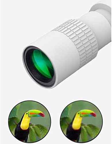 TTHL High Power 10-30x30 Telescópio monocular, monoculares, Bak4 Prism para aves de aves ao ar livre para adultos que observam a caça à vida selvagem