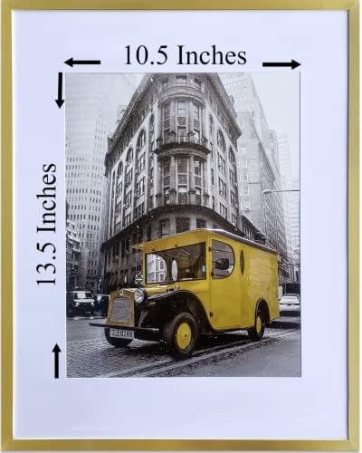 Art Emotion Gold 16x20 quadro de imagem - exibe fotos 11x14 com MAT ou 16x20 sem tape