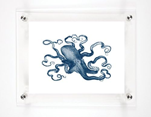 Octopus meia -noite, 25,5x31.5in.