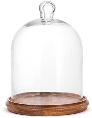 Demdaco médio transparente e madeira 8 x 6 vidro e madeira cloche com base