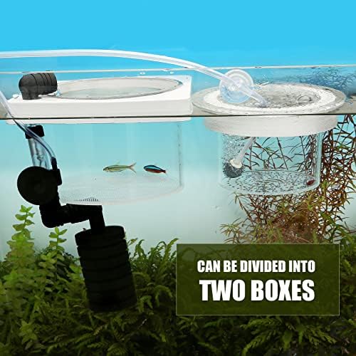 Caixa de peixe Caixa de acrílico flutuante- malha superfina- Criação de peixes de caixa-aquarium de caixa de isolamento
