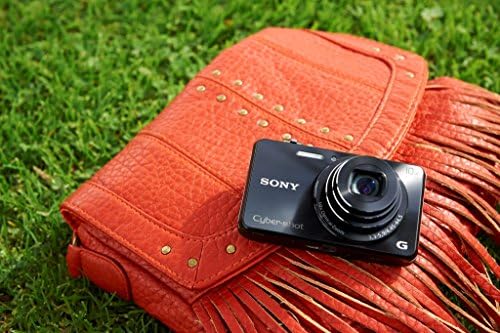Sony DSCWX220/B 18,2 MP Câmera digital com LCD de 2,7 polegadas