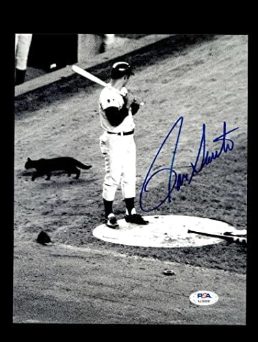 RON SANTO PSA DNA COA assinado Black Cat 8x10 Foto Cubs Autograph - Fotos de MLB autografadas