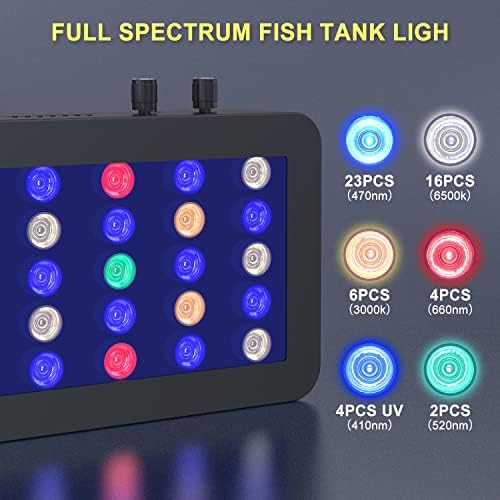 Phlizon 165W Dimmable Full Full Spectrum Aquarium LED Fish Tank LED LED DECORATION LUZ PARA ÁGUA DE ÁGUA DE ÁGUA DRUAL