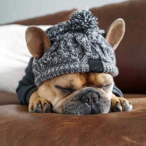 Chapéu de malha de cães de estimação quente, chapéus de cachorro para cães pequenos, chapéu de cachorro que quente malha