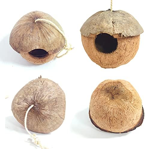 Pinvnby natural de coco de coco house hous house coconut coco criação de pássaro ninho de coco fibra de coco pendurado