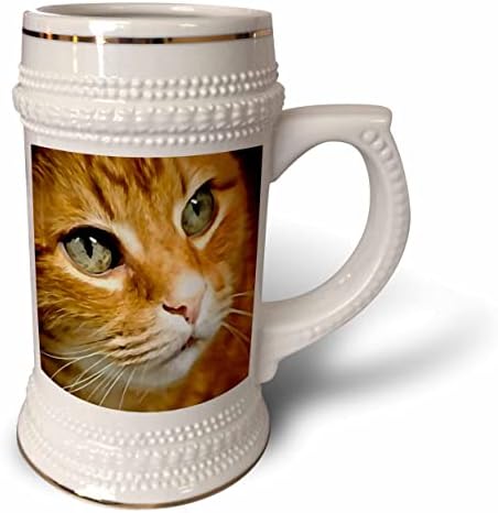 3drose adorável gengibre gato gato posando retrato artístico - 22oz de caneca