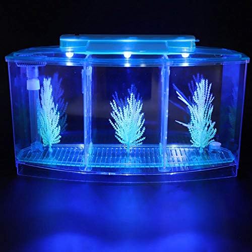 Tanque de peixes, tanque de peixe de criação transparente de mesa, mini acrílico para peixes pequenos com luz LED com válvula