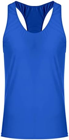 Men's Shiny Nylon Top Top Fitness Performance Muscle Shirts Camisetas Treinamento de Ginástica Vestre Royal_blue D Large